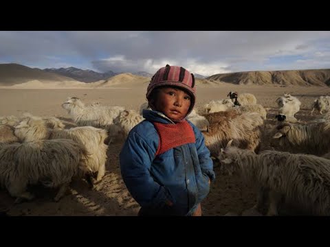 Video: Ladakh, Hindistan'da Yapılacak Şeyler