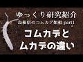 【ゆっくり研究紹介】ムカデとコムカデの違い_島根県のコムカデ類相①