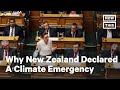 New Zealand Declares Climate Emergency | NowThis