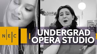 Undergraduate Opera Studio: Opera Scenes Fall 2020