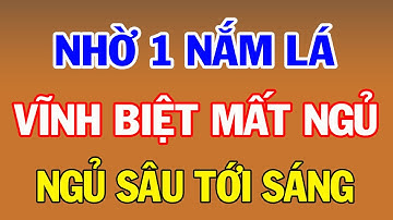 NGỦ SÂU Đến Tận Sáng Mà Không Biết Mệt Chỉ Với Nắm Lá 2000 Đồng Này, Ai Mất Ngủ Nhất Định Phải Biết