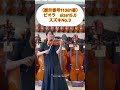 ビオラ スズキNo.3 sizu15.5 2008年製(展示番号11381番 )