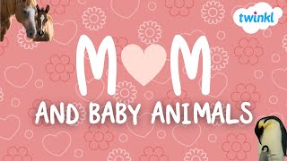 Mom and Baby Animals | Mothers and Their Young | Mother's Day | Twinkl USA