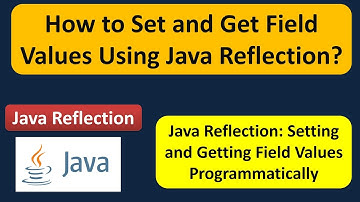 How to Set and Get Field Values Using Java Reflection? | Reflection in java