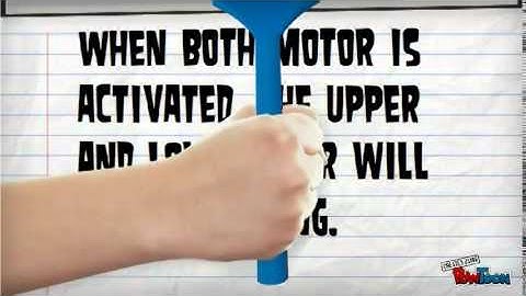 dynamics assignment video