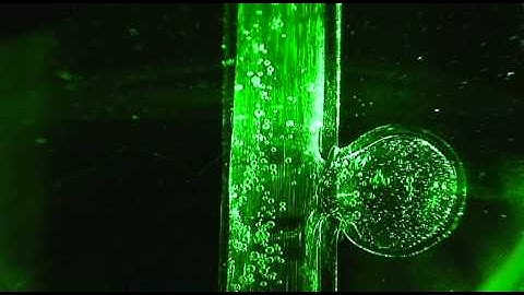 flow visualization around aneurysm model (Re=730)