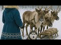 Вольный дух Cover Dj Andrey 