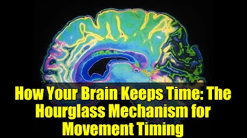 How Your Brain Keeps Time: The Hourglass Mechanism for Movement Timing