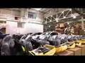 ROUSHtv: Vehicle Assembly