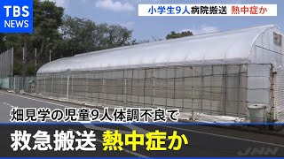 畑見学の児童９人体調不良で救急搬送、熱中症か 杉並区