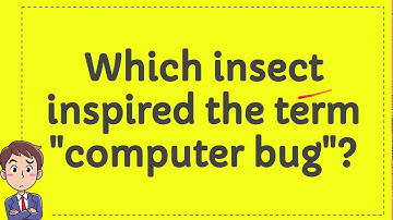 Which insect inspired the term "computer bug"?