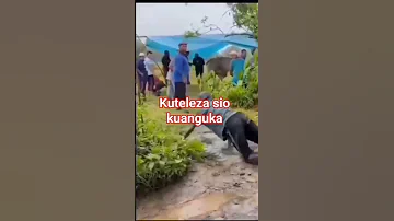 Kuteleza Sio Kuanguka 