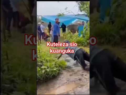 Kuteleza Sio Kuanguka