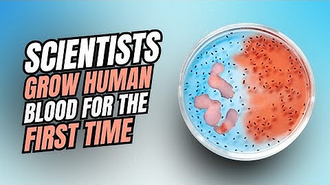 Scientists Grow Human Blood For The First Time 😱 #biology #science #medical #medicine #viralvideo 