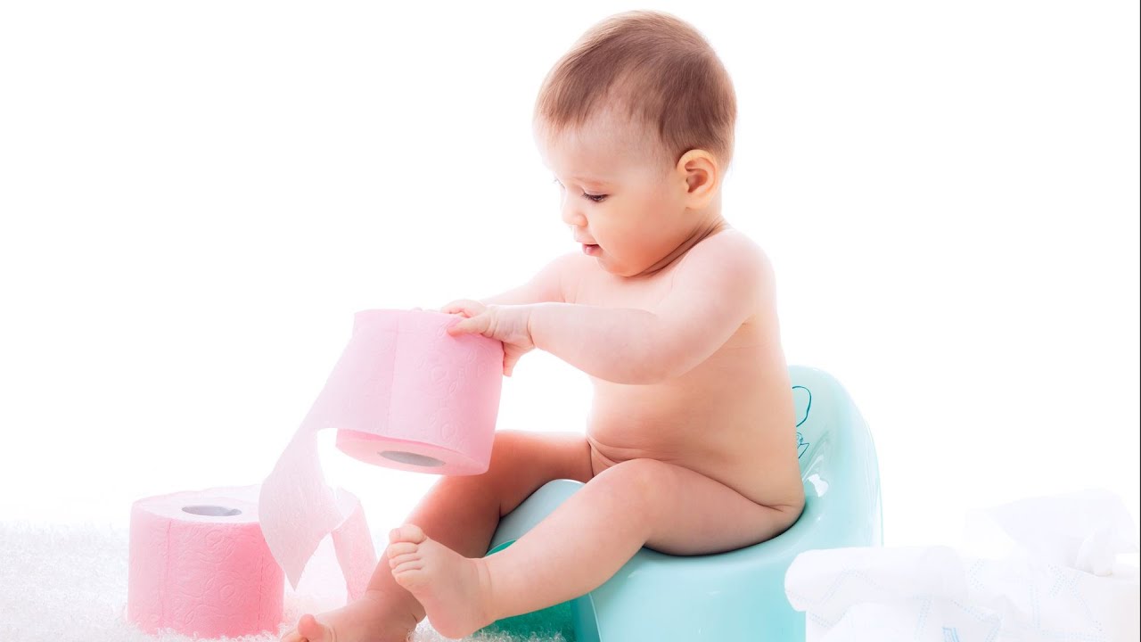 How To Pick A Toilet Training Potty Potty Training 