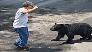 Mama Bear Pleaded to Him to Save Her Drowning Cubs, Then This Happened