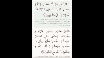 سوره بقره آیات ۱۹۱و۱۹۲با معنی گویا گوارای وجودتان #قرآن #قران_كريم #قران #قرآن_كريم #youtube