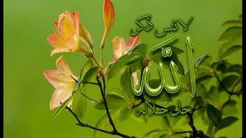 سورة الزخرف والكوثر - غانم احمد الطائي - قراء الموصل