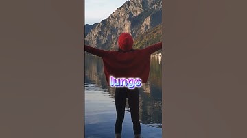 Can You Solve This Mind-Boggling Riddle? | Challenge Accepted!