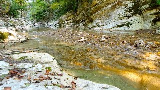 Успокаивающие Звуки Красивой Горной Реки. 12 Часов Природы Для Глубокого Сна и Отдыха.