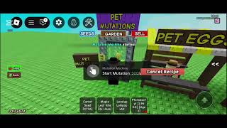 ...Converti Mi Peach Bee En Frosengrow A Garden