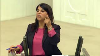 Sibel Yiğitalp: Alevi kadınları bir kafes içine kapatan ÖSO'nun komşunuz olmasını ister misiniz?