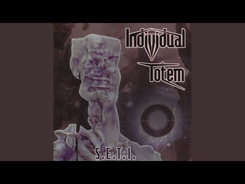 Individual Totem — Levitation