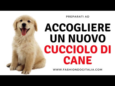 Video: L'importanza Di Governare Il Tuo Cucciolo