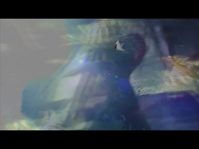 Soft Kill - Magic Garden