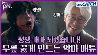 "평생 매튜의 개가 되겠습니다 월월!" 윤종훈에게 인생 최대 굴욕을 선사한 엄기준😈 #7인의탈출 #SBSCatch