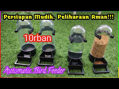 Video: Harus Memiliki Perlengkapan Burung Untuk Burung Peliharaan Anda