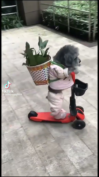 v12044gd0000cea17lrc77u52g4irh8g