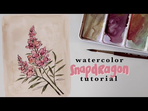 How To Paint an Illustrated Watercolor Snapdragon