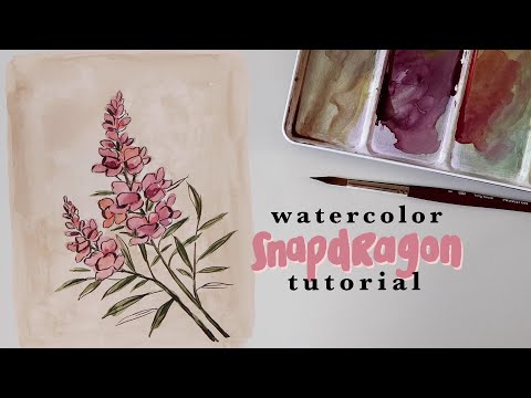 How To Paint An Illustrated Watercolor Snapdragon