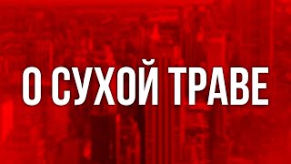 podcast: О сухой траве (2023) - #рекомендую смотреть, онлайн обзор фильма