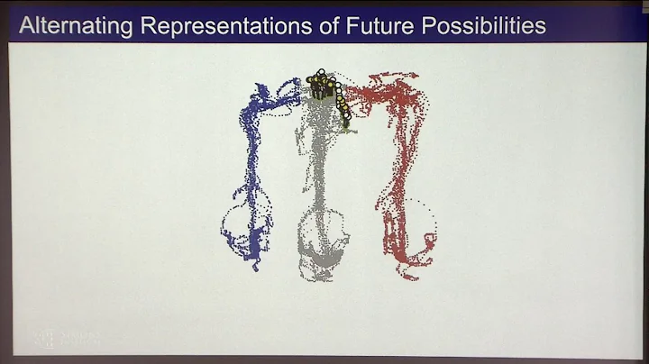 Continuous 8 Hz Alternation between Divergent Representations in the Hippocampus