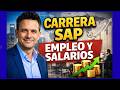 Cómo es una entrevista para empleo SAP junior (preguntas y consejos)
