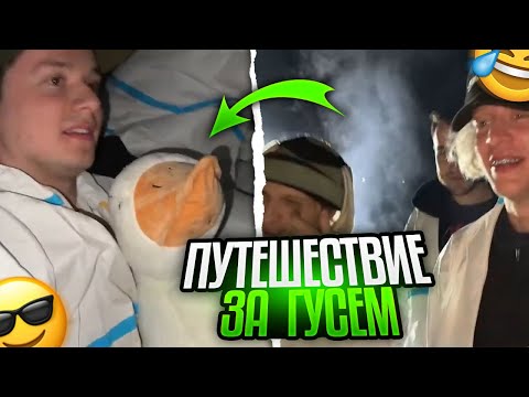 ПУТЕШЕСТВИЕ ЗА ГУСЁМ (Exile, Данила горилла, Парадеевич, Кореш, Плохой парень)