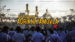 Abasalt Ebrahimi - Ədrikni Ya Mövla |Yeni Mərsiyyə | 2023 | | Resimi