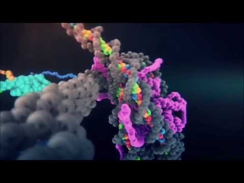 Video: Mekanisme Penyetempatan RNA Tidak Berkod Dalam Peraturan Kromatin