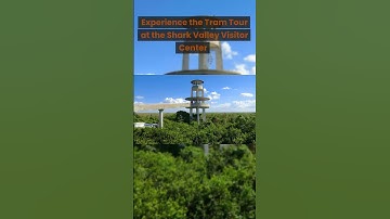 Thumbnail of 3 Things to Do in the Florida Everglades 🐊🚣🏽#shorts #everglades #florida