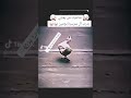 سرسري سرسري عمي صاحبك 