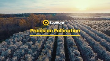 BeeHero Precision Pollination