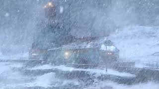 Heavy snowstorm somewhere in Siberia | Blizzard Sounds for Sleeping | Howling Wind & Blowing Snow by Rose Wind 3,668 views 1 month ago 24 hours