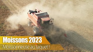 Moissons 2023 : La moissonneuse au taquet !