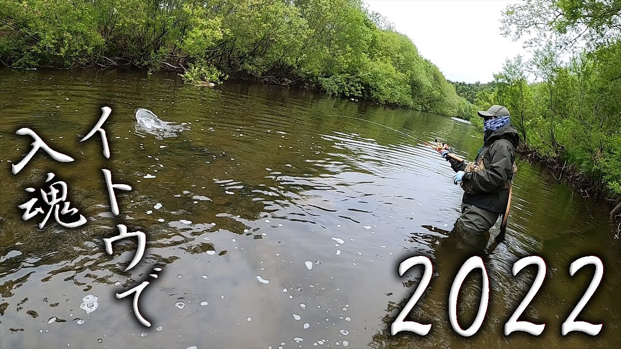 22年6月イトウ釣行 同行者さんのニュータックル入魂式に立ち会うことができました Youtube