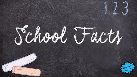 Back To School Time: 5 Useful Facts About Schools