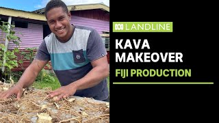 Taking Fiji Kava production to the next level | Landline | ABC
