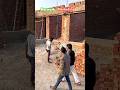 Network marketing wala #🤣🤣#funny #short #comedy #video trending #now#deshi #comedy