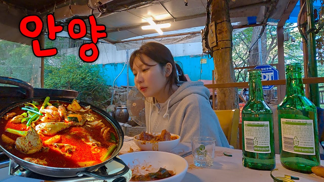 관악산 등산로에서 어르신들 족구차는데 혼자 소주 2병 까고 궁상 떨었네요 (안양예술공원 폭포수식당 닭볶음탕)